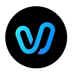 Vidu
